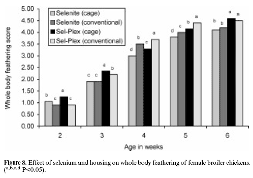 The effects of conventional versus cage housing and inorganic versus organic selenium on feathering in broilers - Image 8