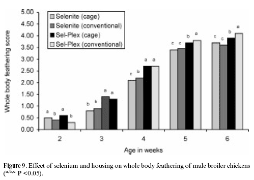 The effects of conventional versus cage housing and inorganic versus organic selenium on feathering in broilers - Image 9