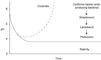 Bacterial Developments: their Implications for Silage Production and Aerobic Stability - Image 1