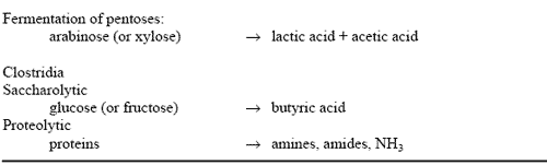 Bacterial Developments: their Implications for Silage Production and Aerobic Stability - Image 3