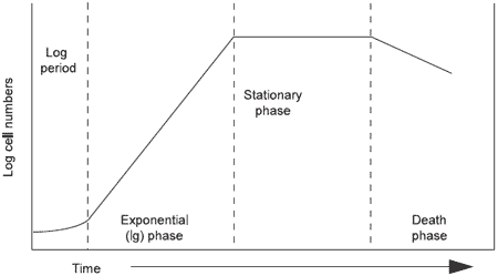 Bacterial Developments: their Implications for Silage Production and Aerobic Stability - Image 8