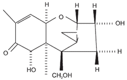 Toxicological Synergism between Fusarium Mycotoxins in Feeds - Image 1