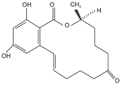 Toxicological Synergism between Fusarium Mycotoxins in Feeds - Image 3