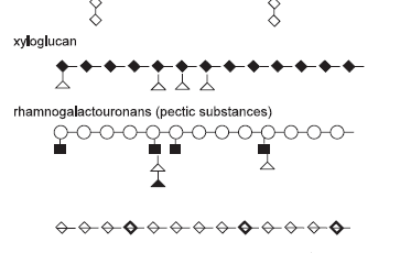 Maximizing the Response in Pig and Poultry Diets Containing Vegetable Proteins by Enzyme Supplementation - Image 3