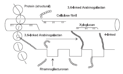 Maximizing the Response in Pig and Poultry Diets Containing Vegetable Proteins by Enzyme Supplementation - Image 6