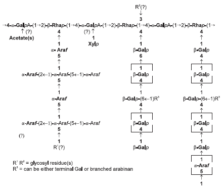 Maximizing the Response in Pig and Poultry Diets Containing Vegetable Proteins by Enzyme Supplementation - Image 7