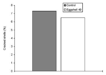 Egg Shell Quality: Overcoming Production Losses with a Novel Enzyme Activator - Image 7