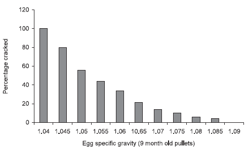 Egg Shell Quality: its Impact on Production, Processing and Marketing Economics - Image 2