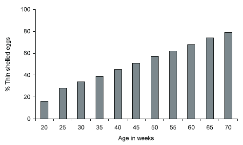 Egg Shell Quality: its Impact on Production, Processing and Marketing Economics - Image 3