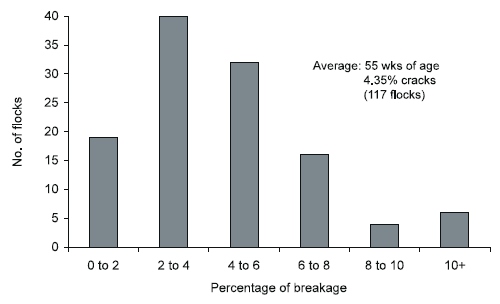 Egg Shell Quality: its Impact on Production, Processing and Marketing Economics - Image 9