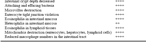 Poult Enteritis and Mortality Syndrome: Definition and Nutritional Interventions - Image 4