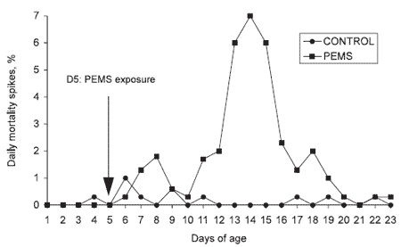 Poult Enteritis and Mortality Syndrome: Definition and Nutritional Interventions - Image 5