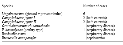Maintaining Health and Performance in the Young Ostrich: Applications for a Mannanoligosaccharide - Image 14
