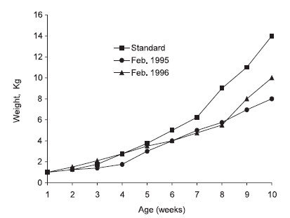 Maintaining Health and Performance in the Young Ostrich: Applications for a Mannanoligosaccharide - Image 16