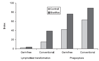 Mannanoligosaccharide: its Logical Role as a Natural Feed Additive for Piglets - Image 4