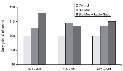 Mannanoligosaccharide: its Logical Role as a Natural Feed Additive for Piglets - Image 6