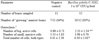 Dietary Bacillus subtilis C-3102 Spores for Laying Hens: Egg Shell Quality and Brown Egg Color Score - Image 1