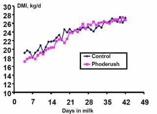 Optimizing physiological potential in early lactation - Image 5