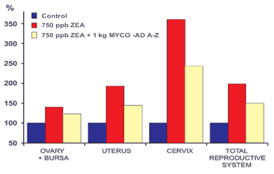 Evaluation of the Efficacy of a Commercial Purify Philosilicate to Reduce the Toxicity of Zearalenone in Gilts - Image 4