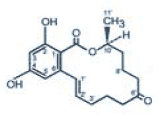 Evaluation of the Efficacy of a Commercial Purify Philosilicate to Reduce the Toxicity of Zearalenone in Gilts - Image 5