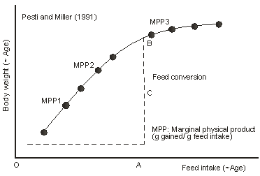 Raising commercial broiler chickens for profits - Image 3