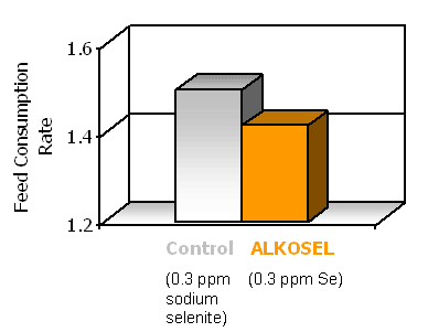 Benefits of selenium yeast in pig production - Image 1
