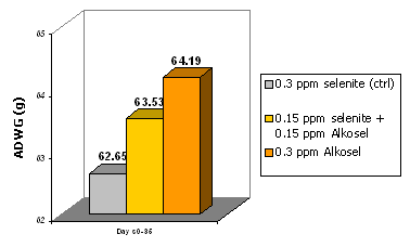 Selenium yeast in poultry production - Image 1