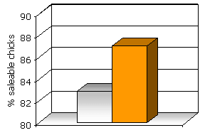 Selenium yeast in poultry production - Image 3