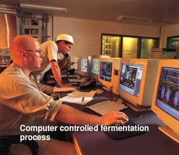 Selenium yeast production: a fully controlled fermentation process - Image 4