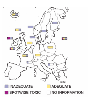 The role of selenium yeast in ruminants - Image 1