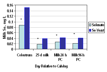 The role of selenium yeast in ruminants - Image 4
