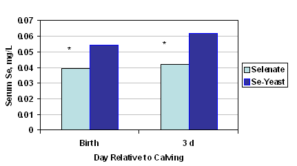 The role of selenium yeast in ruminants - Image 5