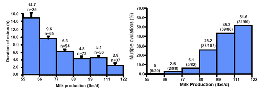 Recent studies on nutritional factors affecting reproductive efficiency in U.S. dairy herds - Image 2