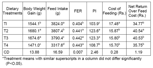 Studies on Use of Heat Treated Rock Phosphate Instead of Dicalcium Phosphate on Broiler Performance - Image 3