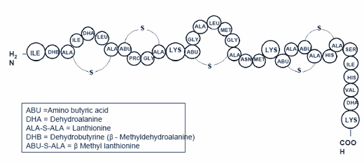 Use of Nisaplin® as a preservative in pasteurised liquid egg products - Image 2