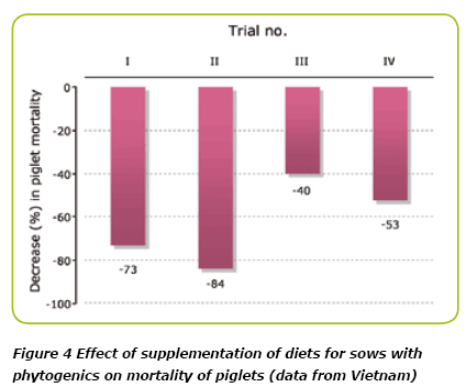 Biomin® P.E.P. : Unlocking Performance in Sow Nutrition - Image 7