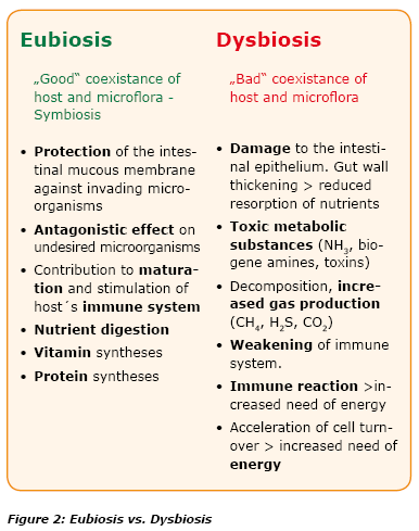 Gastro-intestinal microflora and its influence on the host - Image 4