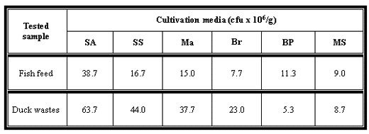 Integrated Aquaculture by Bearing Ducks on Earthen Fish Ponds - Image 6
