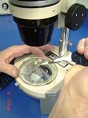 Vitrification of Equine Embryos: Effect of polyvinyl alcohol (PVA) in vitrification of equine embryos - Image 2