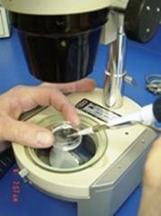 Vitrification of Equine Embryos: Effect of polyvinyl alcohol (PVA) in vitrification of equine embryos - Image 3