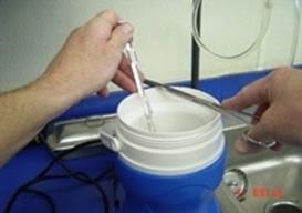 Vitrification of Equine Embryos: Effect of polyvinyl alcohol (PVA) in vitrification of equine embryos - Image 7