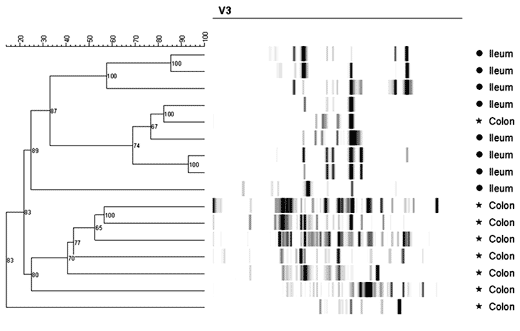 Exploring the gastrointestinal microflora with new molecular techniques - Image 4