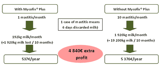 Solving mycotoxins-related problems in dairy - Image 8