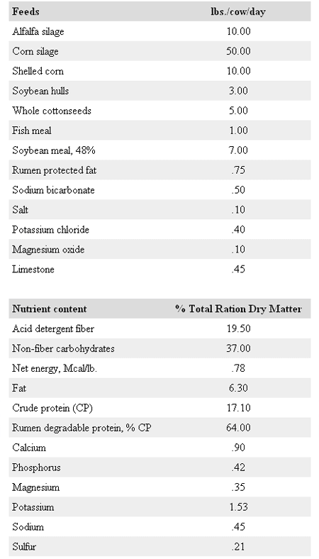 Reducing Heat Stress for Dairy Cattle - Image 1