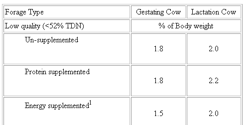 Basic Nutrient Requirements of Beef Cows - Image 1