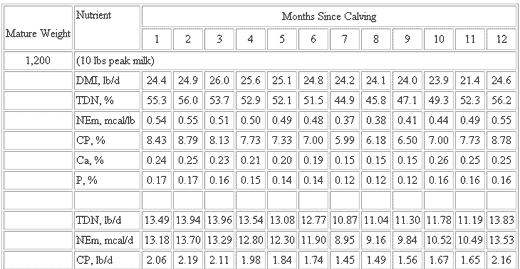 Basic Nutrient Requirements of Beef Cows - Image 9