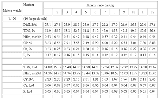 Basic Nutrient Requirements of Beef Cows - Image 12