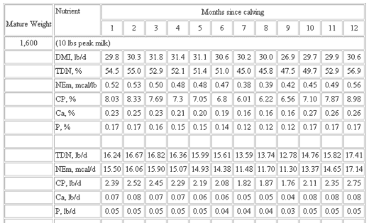 Basic Nutrient Requirements of Beef Cows - Image 15
