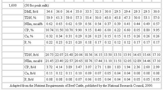 Basic Nutrient Requirements of Beef Cows - Image 17