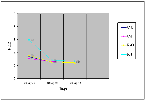 A Comparison Between Broilers Pastured in a Day Range System and Broilers Raised Intensively in the Gauteng Province, South Africa - Image 2